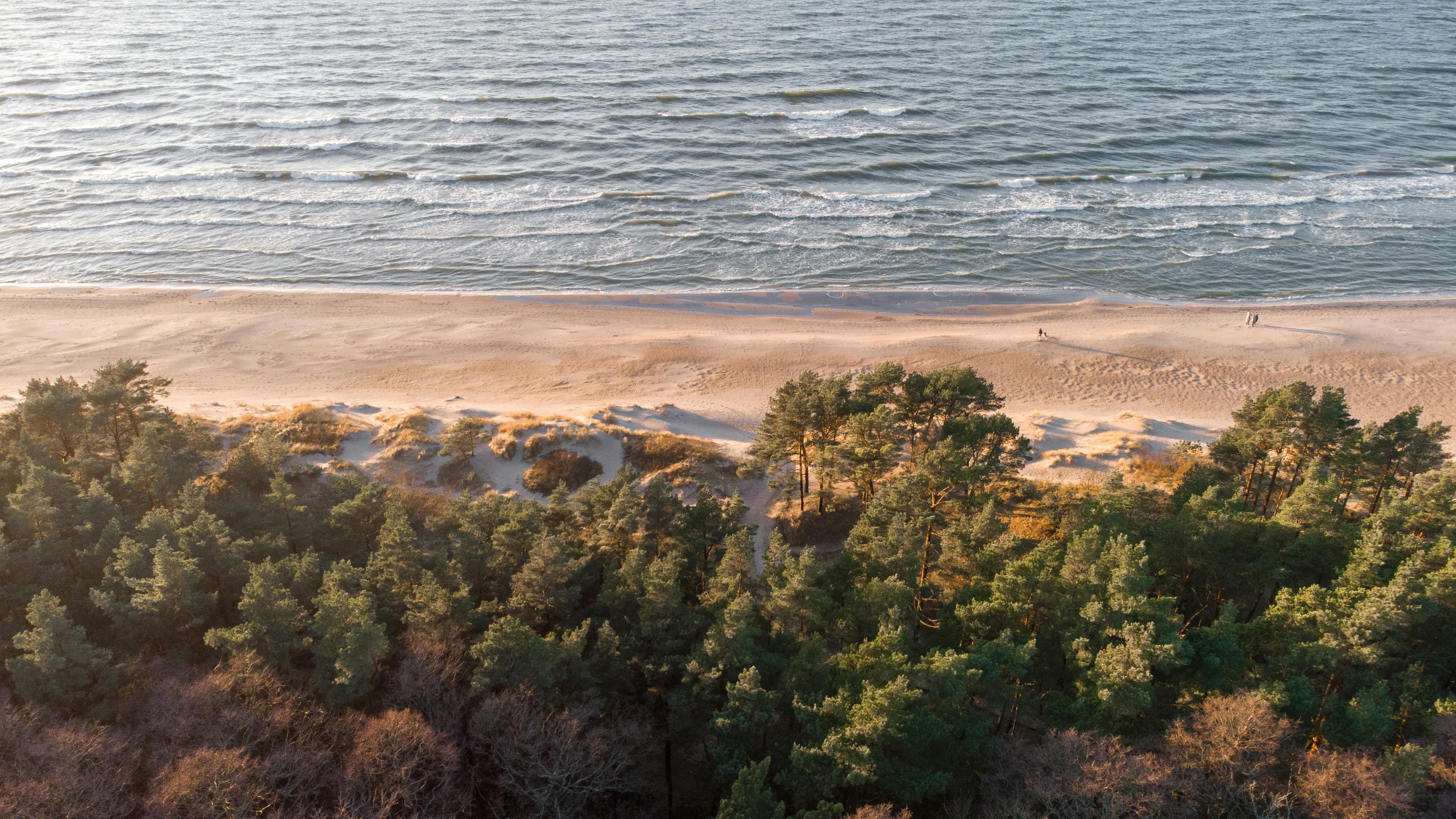 Palanga beach with people enjoying summer activities